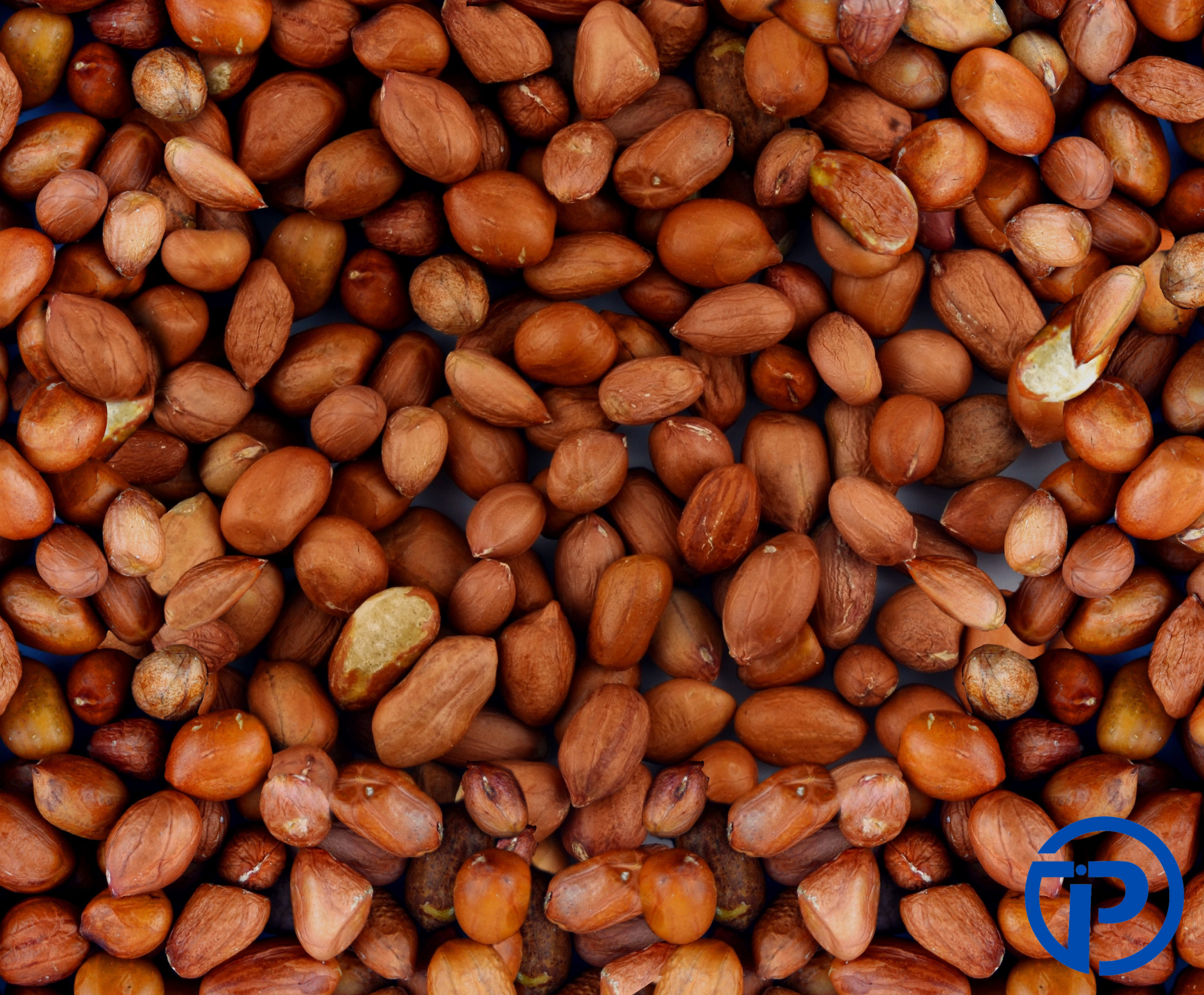 groundnuts